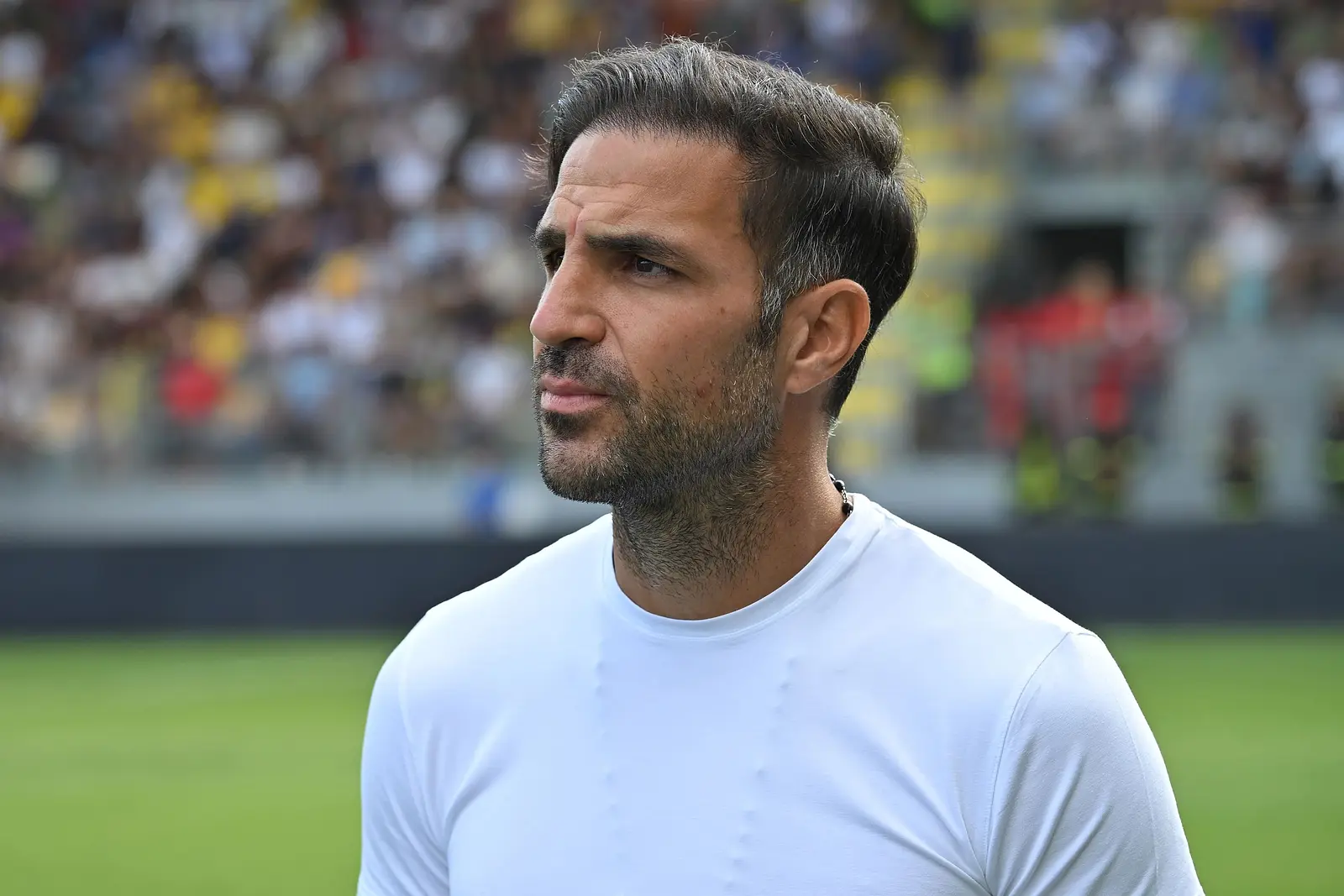 Cesc-fabregas-907747704
