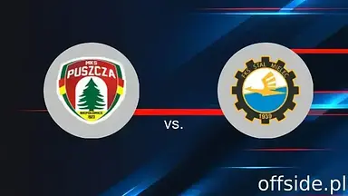 Puszcza Niepołomice - Stal Mielec: gdzie oglądać? Transmisja | 12.05.2025