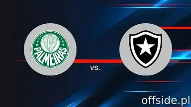 Transmisja Palmeiras - Botafogo: gdzie oglądać? | 28.06.2025