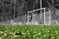 Niclas Füllkrug z ważnym trafieniem. Werder uratował remis z Borussią Dortmund