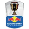 Piala Indonesia