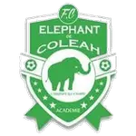 Eléphant Coléah