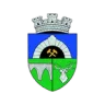 Anenii Noi