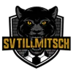 Tillmitsch