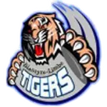Mighty Tigers