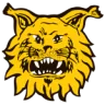 Ilves