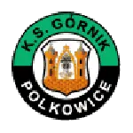 Górnik Polkowice