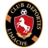 Deportes Limache