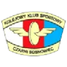 Czarni Sosnowiec W