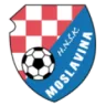 Moslavina