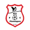 Sua Flamingoes