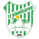 12 Bingölspor