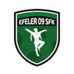 Efeler 09 Spor