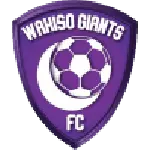 Wakiso Giants