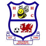 Holyhead Hotspur