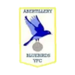 Abertillery Bluebirds