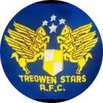 Treowen Stars
