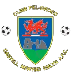 Newcastle Emlyn