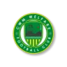 Cwm Welfare AFC