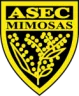 ASEC Mimosas W
