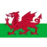 Wales U17 W