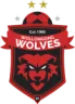Wollongong Wolves U20