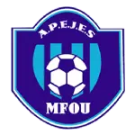 APEJES Academy