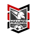 Holland Park Hawks