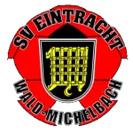 SVE Wald-Michelbach